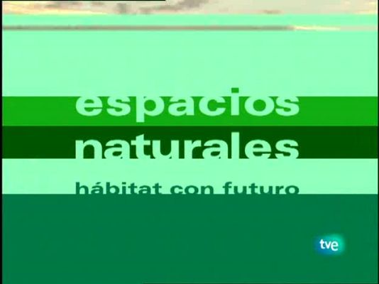 Espacios naturales - Bardenas reales