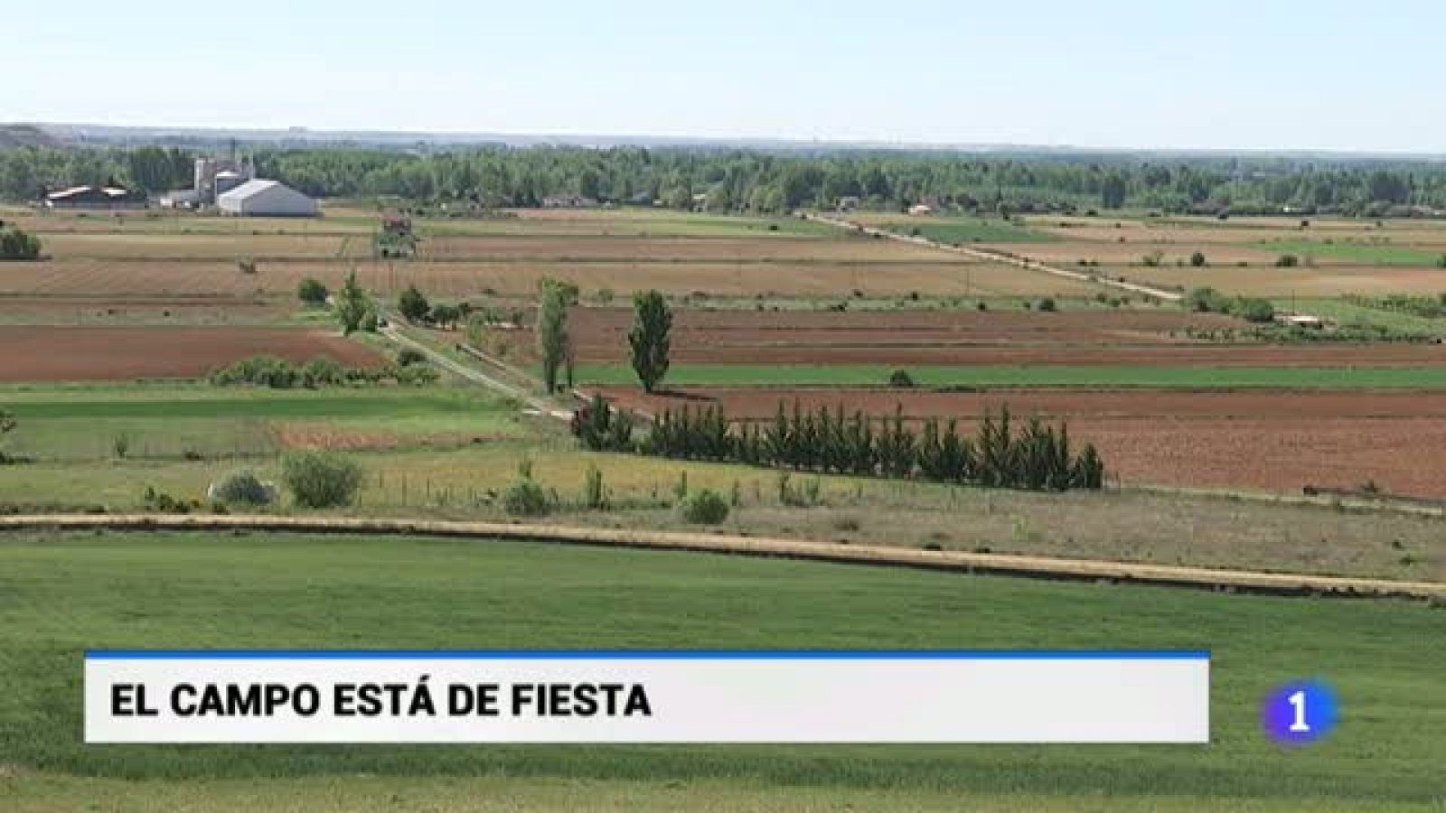 Castilla y León en 1' - 15/05/19