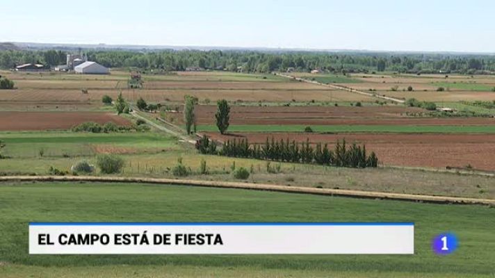 Noticias de Castilla y León - Castilla y León en 1' - 15/05/19