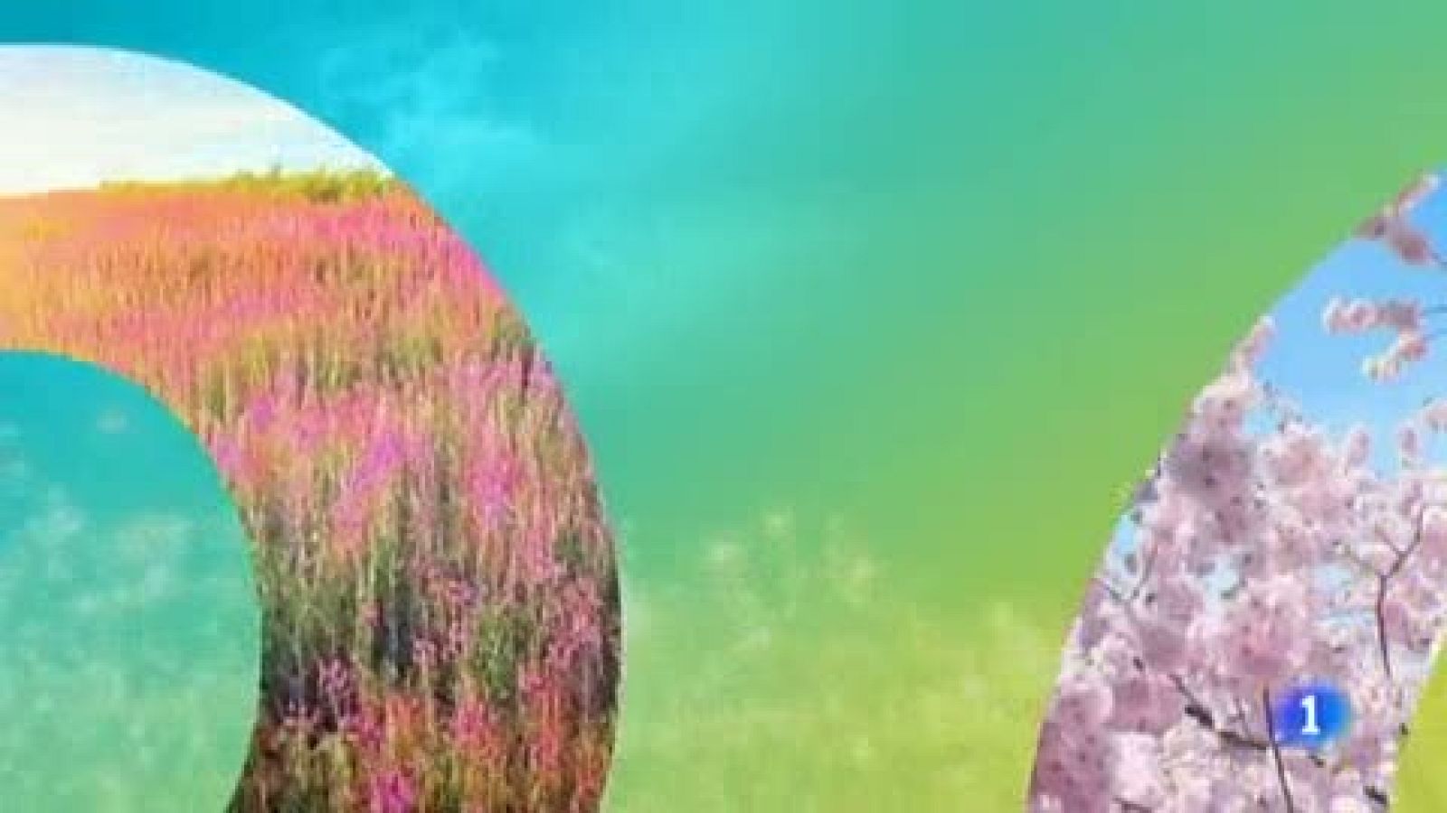 El tiempo en el País Vasco - 15/05/19