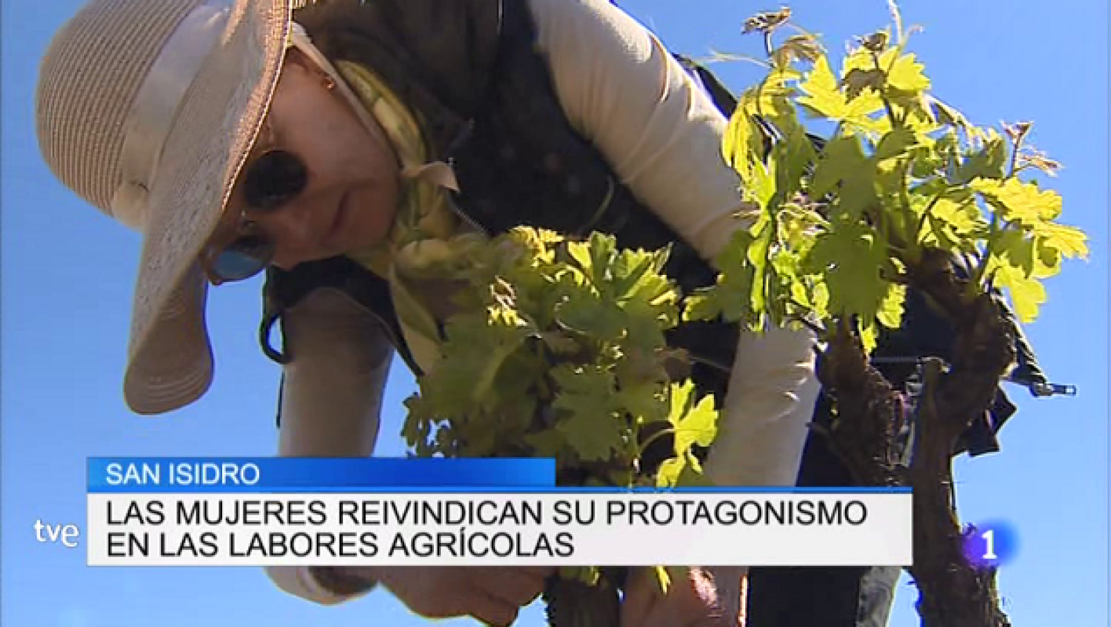 Informativo Telerioja - 15/05/19