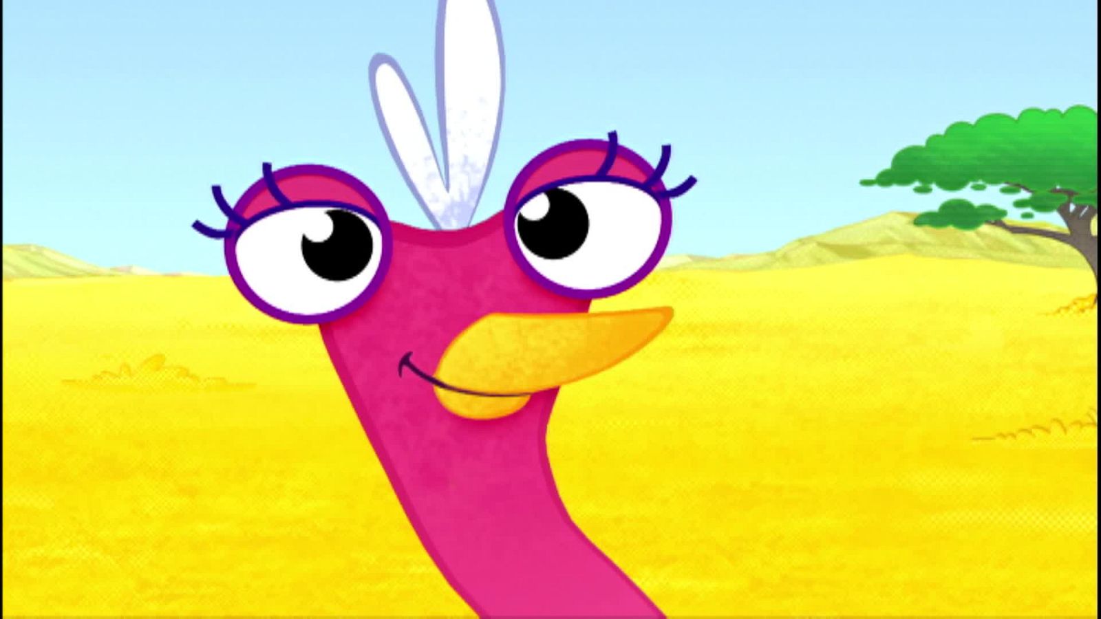 Olive y el maratón - Olive la pequeña avestruz | Ver