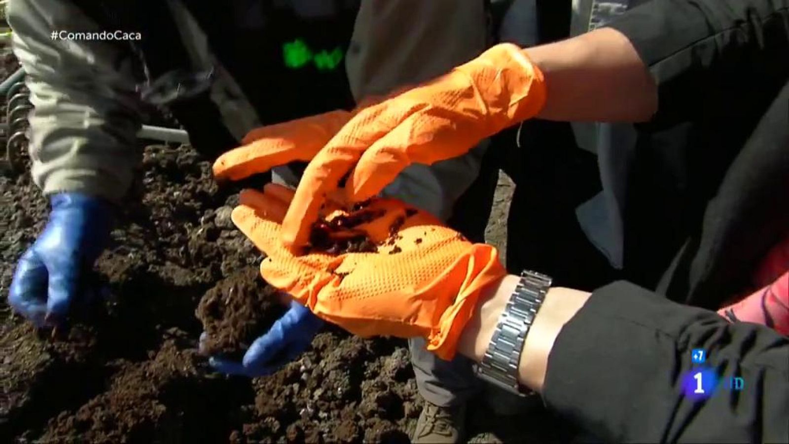 Comando actualidad - Lo que esconde la caca - Excrementos muy rentables