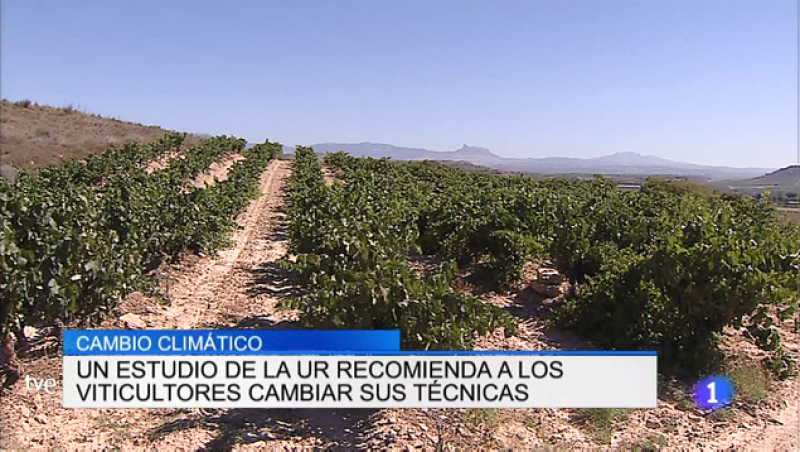 Telerioja en 2' - 16/05/19