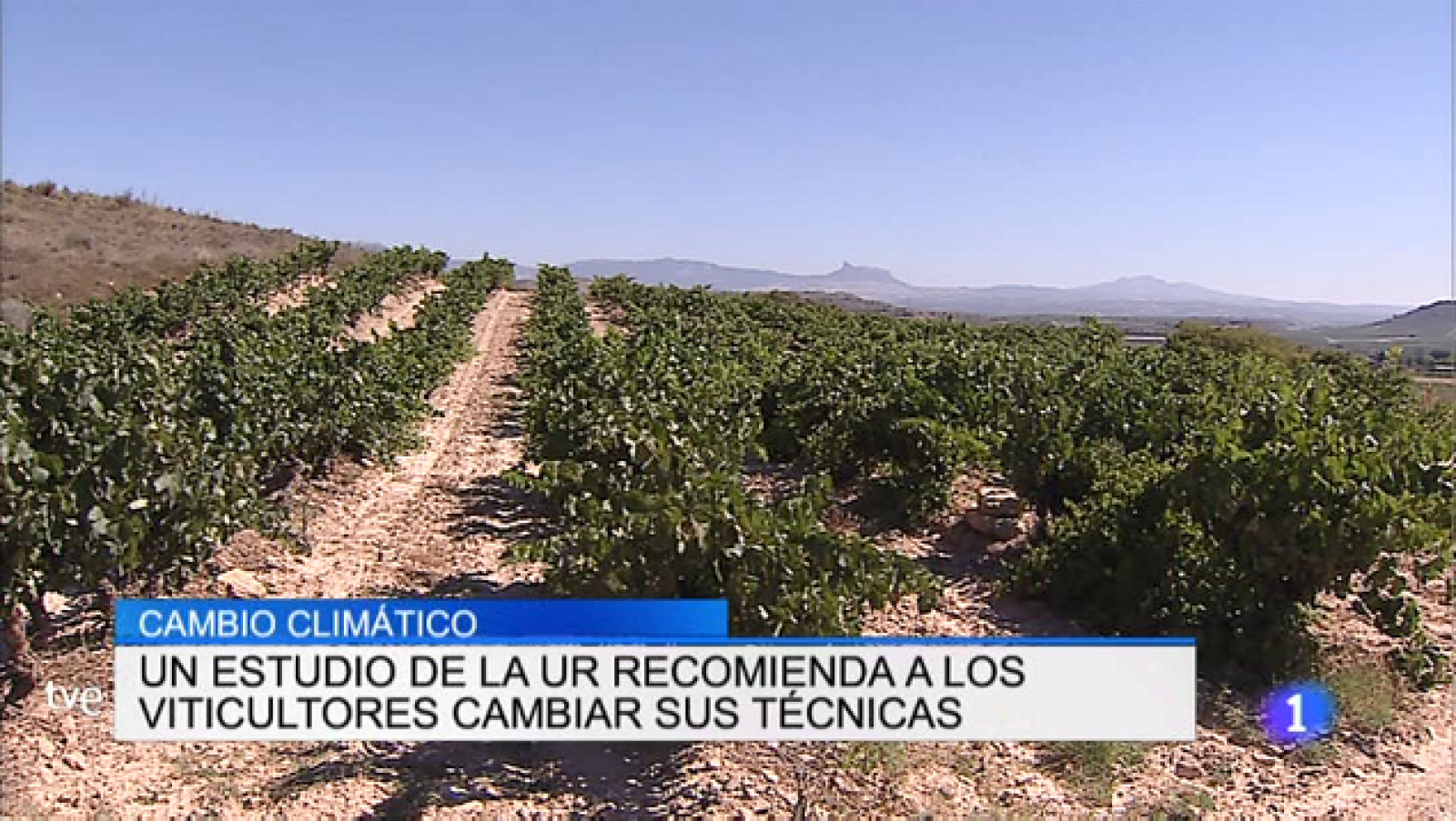 Informativo Telerioja - 16/05/19