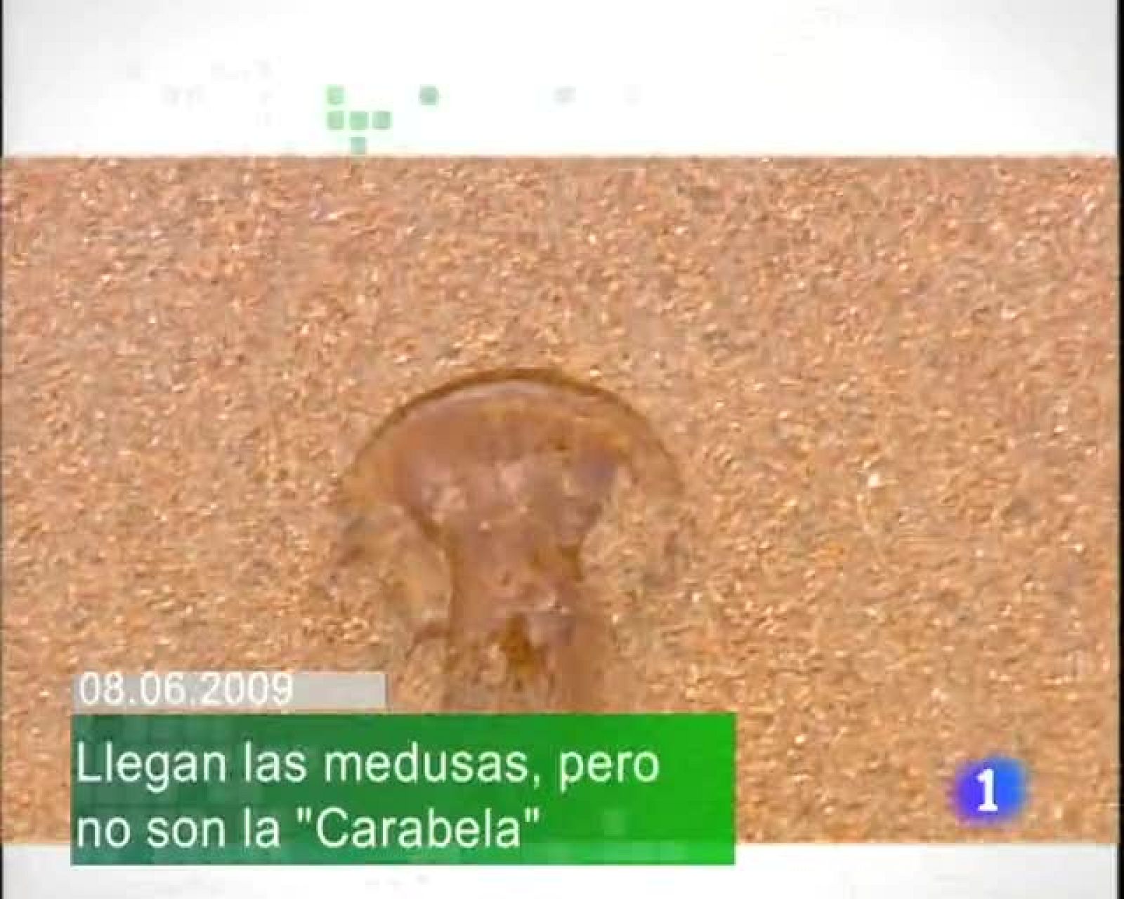 Telecantabria. Informativo de Cantabria - 08/06/2009