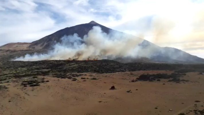 Telecanarias - Telecanarias 2 - 16/05/2019