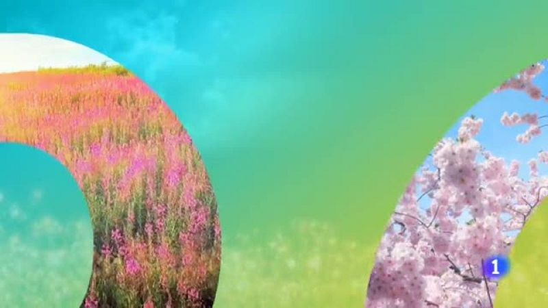 El tiempo en Aragón - 17/05/2019 | Ver