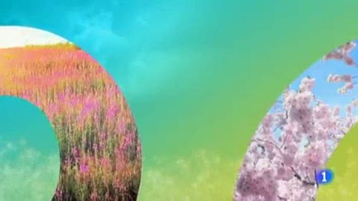 Telenorte - País Vasco - El tiempo en el País Vasco - 17/05/19