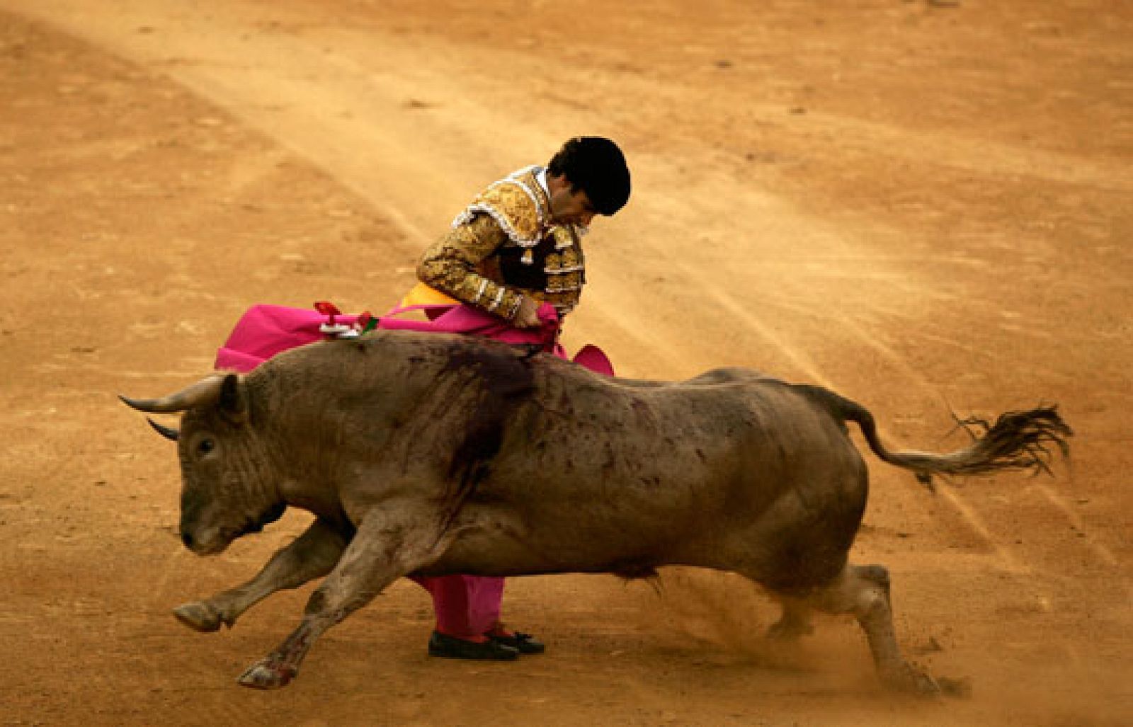 El diestro José Tomás recibe el premio 'Oreja de Oro' | Ver