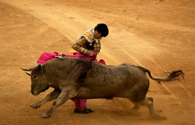  - José Tomás, 'Oreja de Oro'
