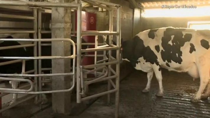 Repor - Todo certificado