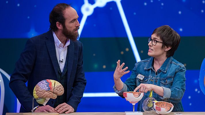 Órbita Laika - Neurociencia con Carmen Agustín - La vista humana