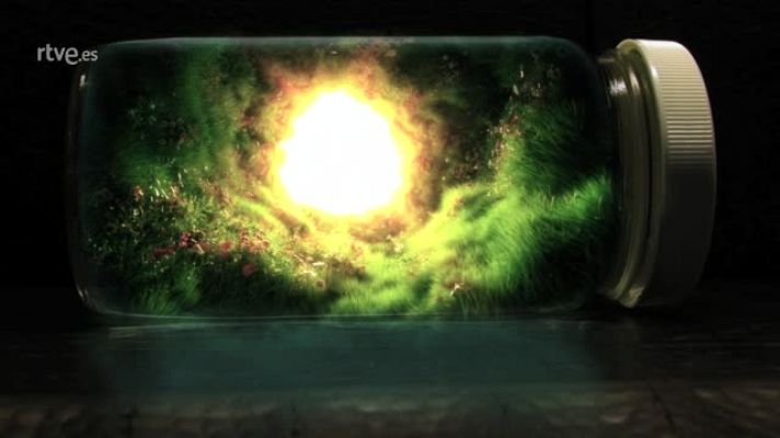 Palabra Voyeur - Palabra Voyeur - Una mirada atrás. Edith Wharton