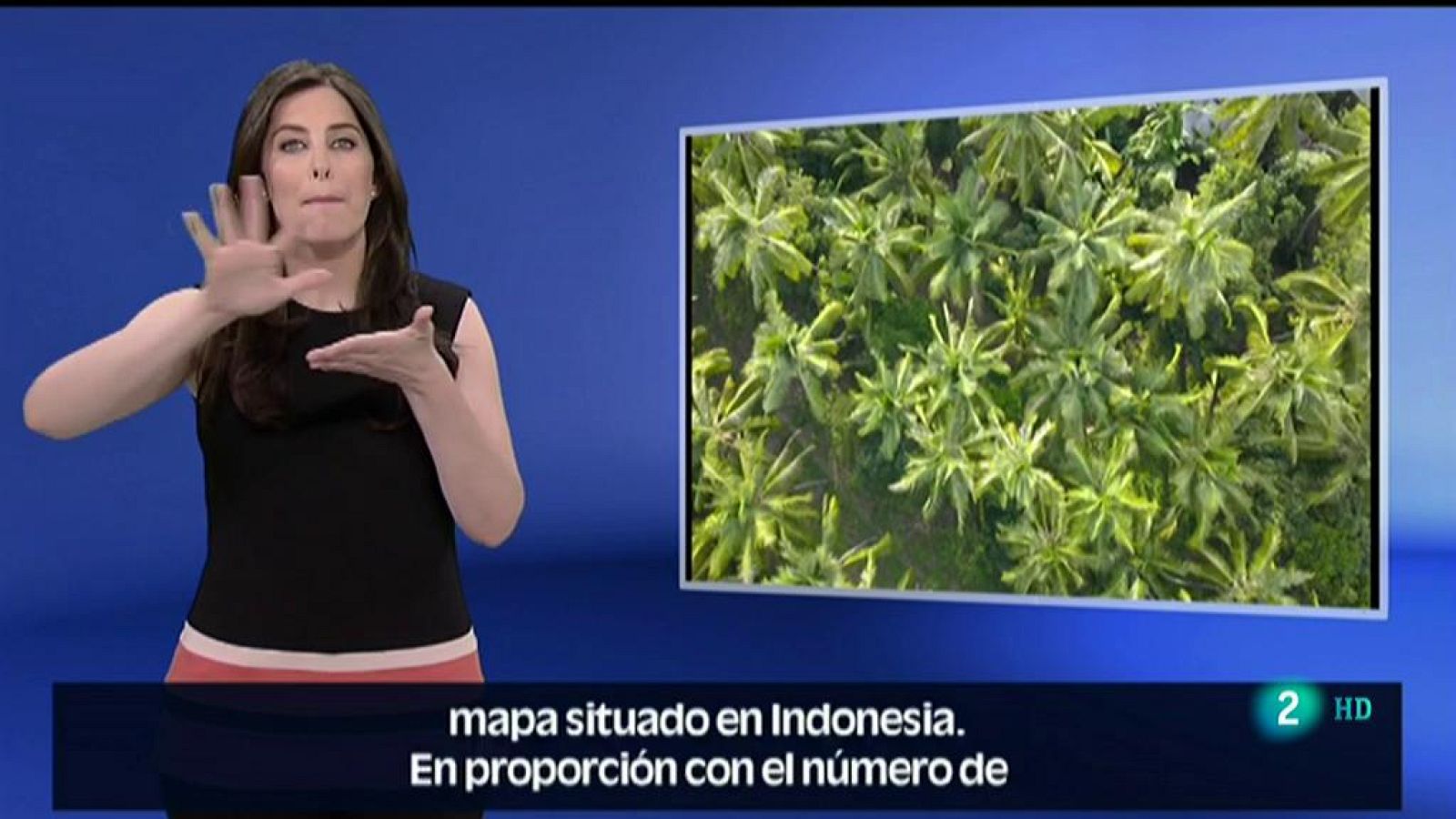 En Lengua de Signos - Bengkala, el pueblo de las personas sordas - ver ahora