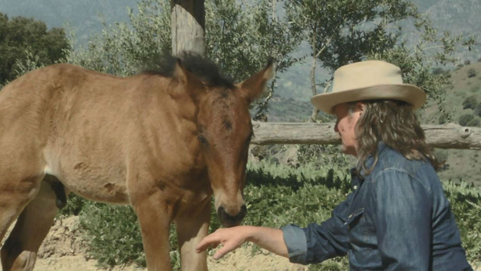 El encantador de caballos en Málaga