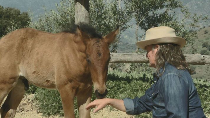 Aquí la Tierra - El encantador de caballos en Málaga