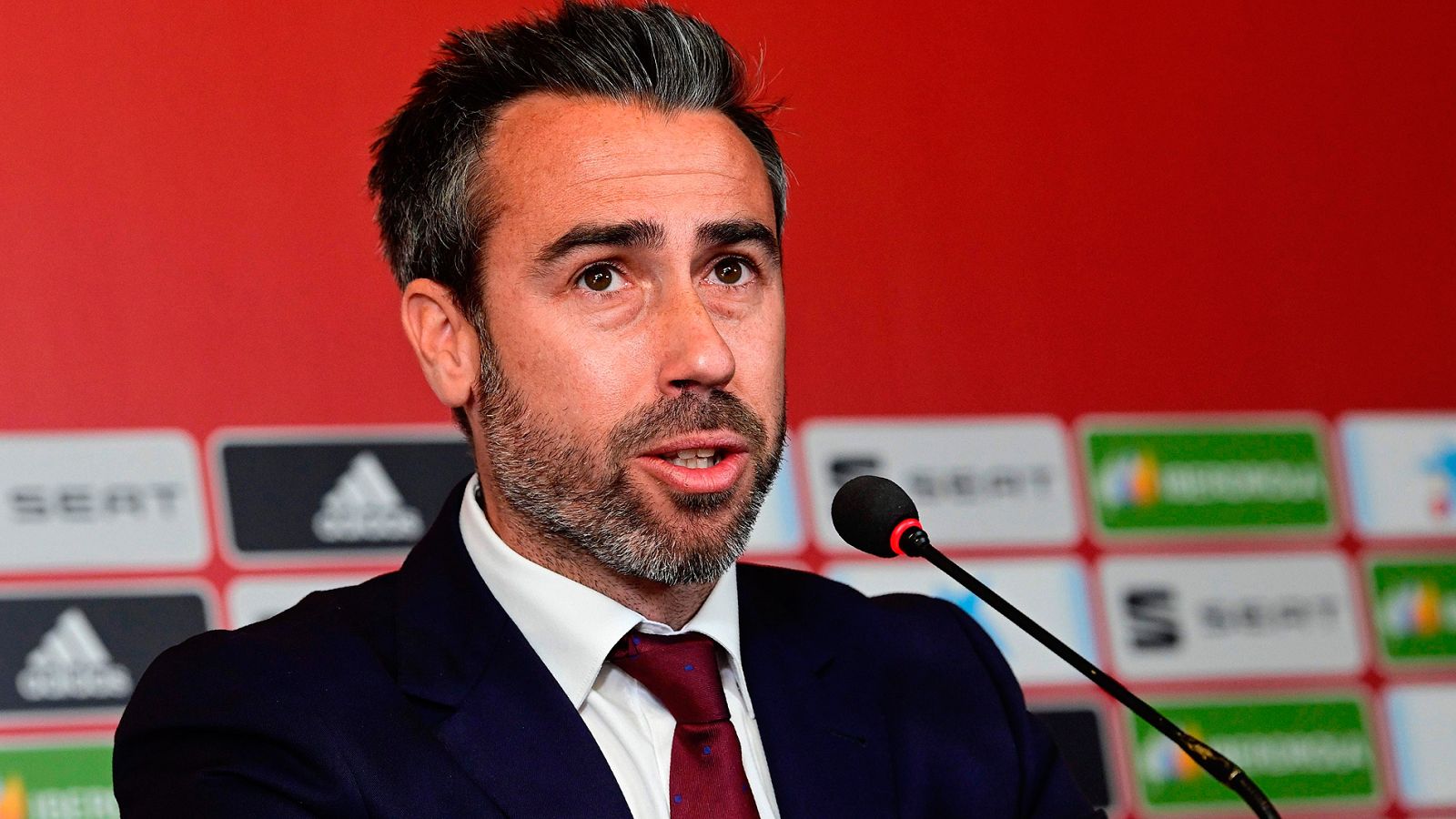 El seleccionador español Jorge Vilda ha hecho pública la lista de 23 jugadoras que disputarán el Mundial de Francia 2019 del 7 de junio al 7 de julio.