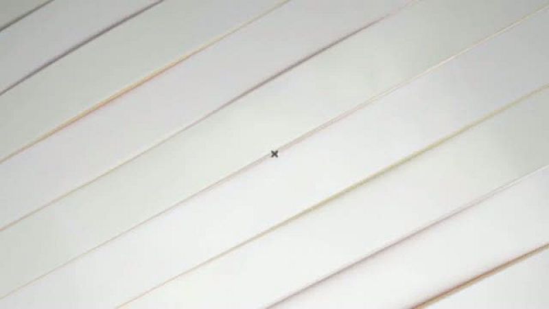 Entrevistas electorales Cantabria  - 21/05/19