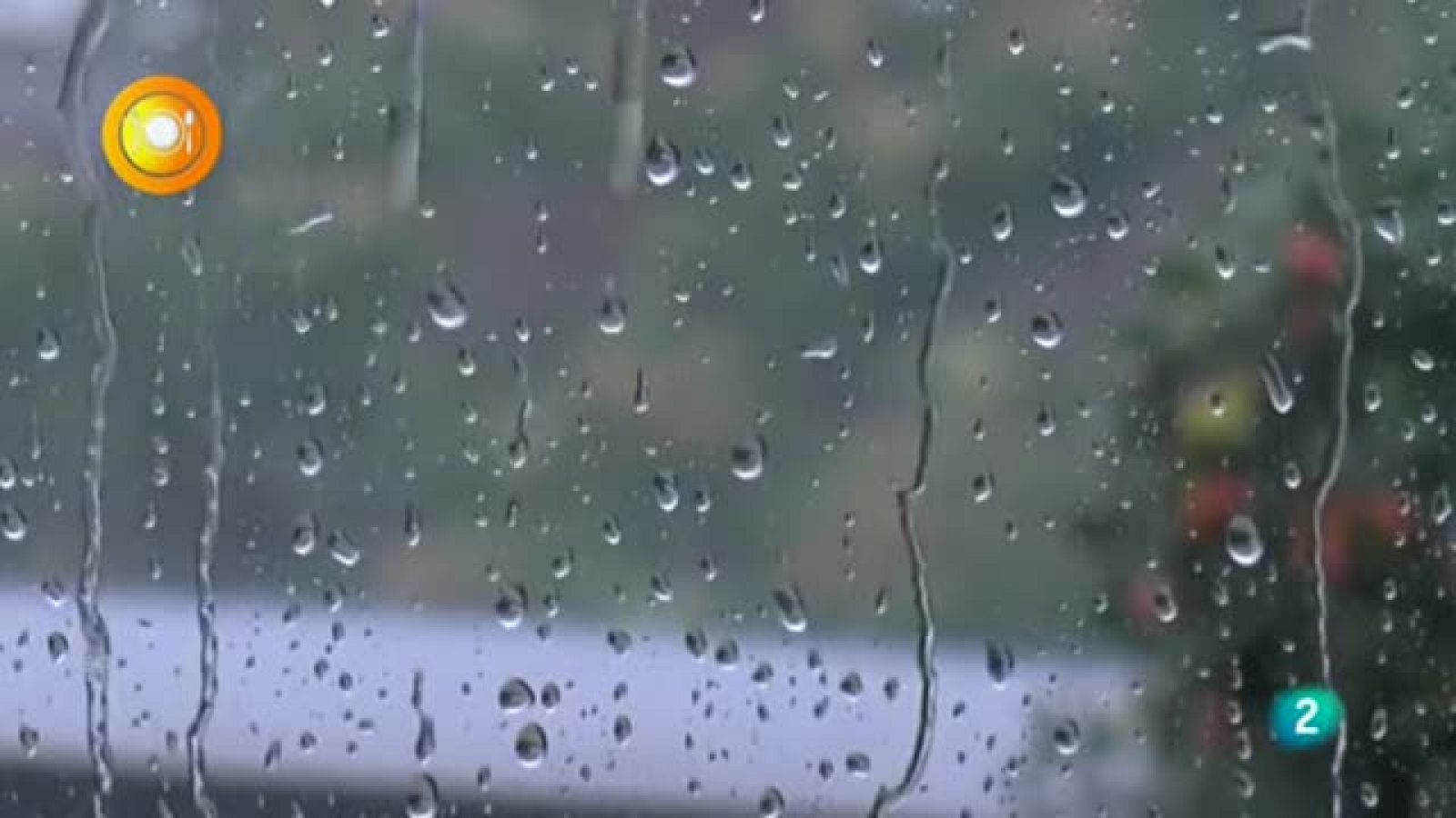 Con mucho gusto, Fermentación