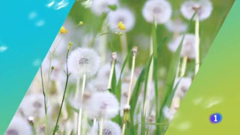 El tiempo en Galicia - 21/05/19