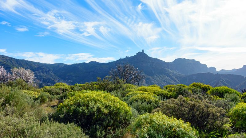 Cielo soleado en casi todo el país con temperaturas en ascenso - Ver ahora