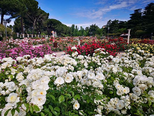 España Directo - En el paraíso de las rosa
