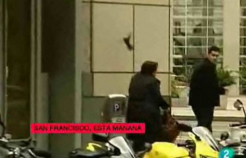 'Los pájaros' vuelven a atacar | Ver