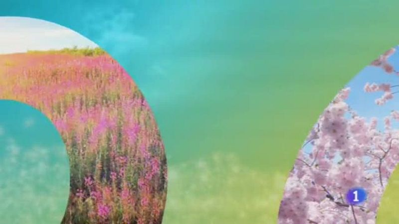 El Tiempo en Castilla-La Mancha - 23/05/19 | Ver