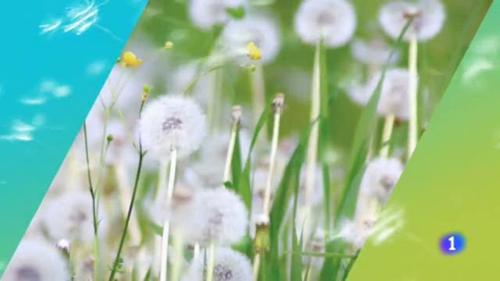 El tiempo en Aragón - 23/05/2019 | Ver