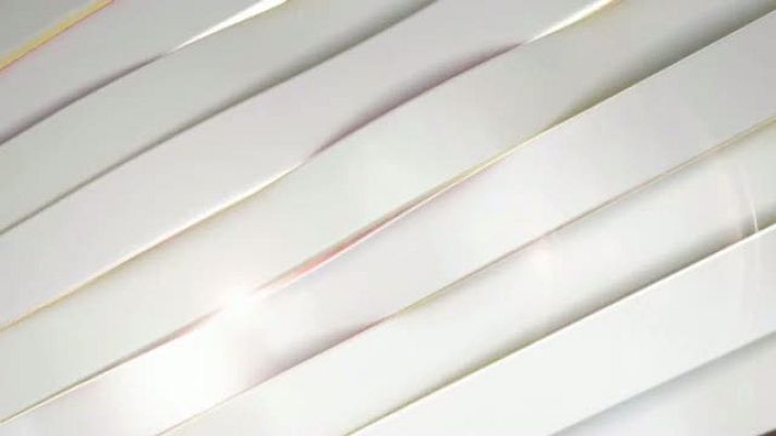 Telenavarra - Entrevistas electorales Navarra - 24/05/2019