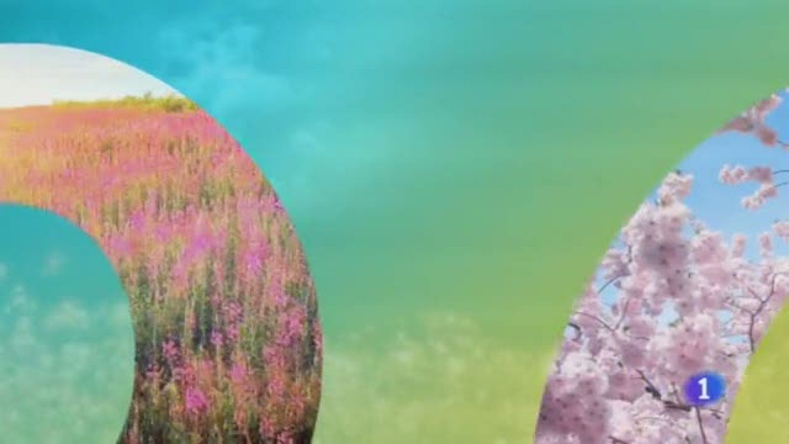 El Tiemo en Castilla-La Mancha - 24/05/19 | Ver