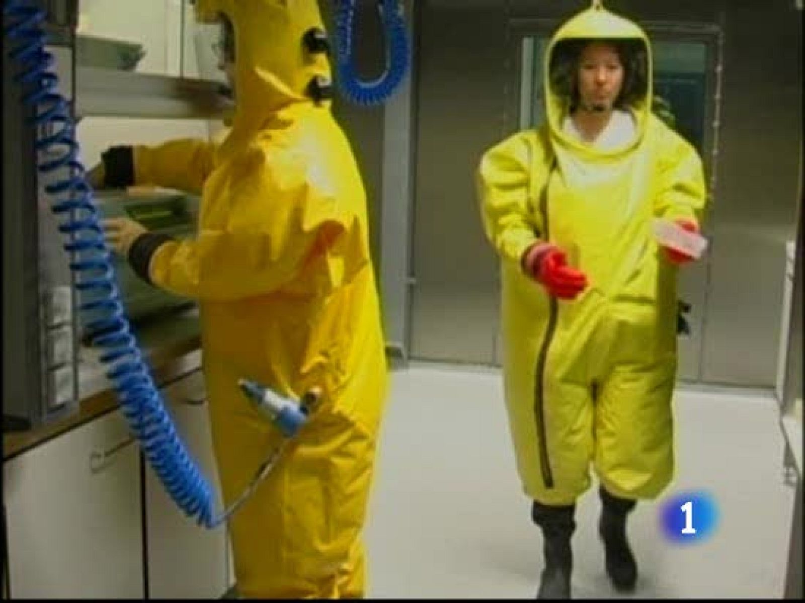 La OMS se reúne por la Gripe A