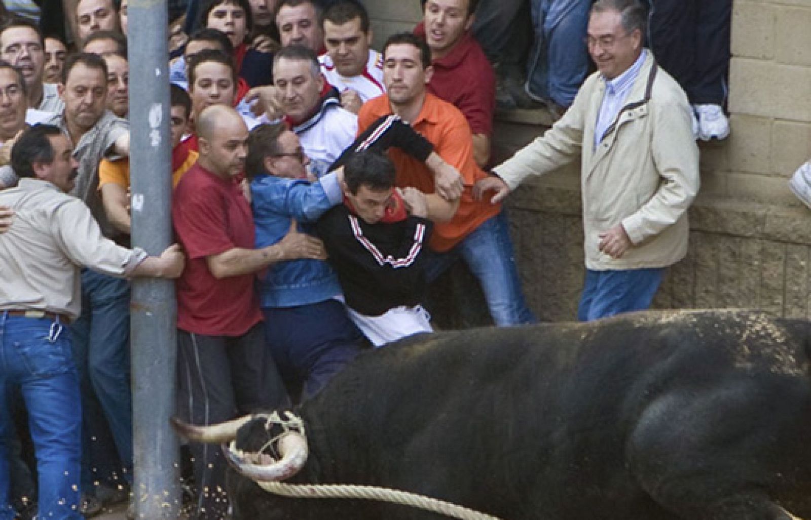 España Directo - El toro enmaromado de Benavente | Ver