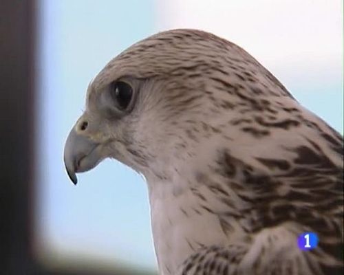 Informatiu Balear - Informatiu Balear - 12/06/09