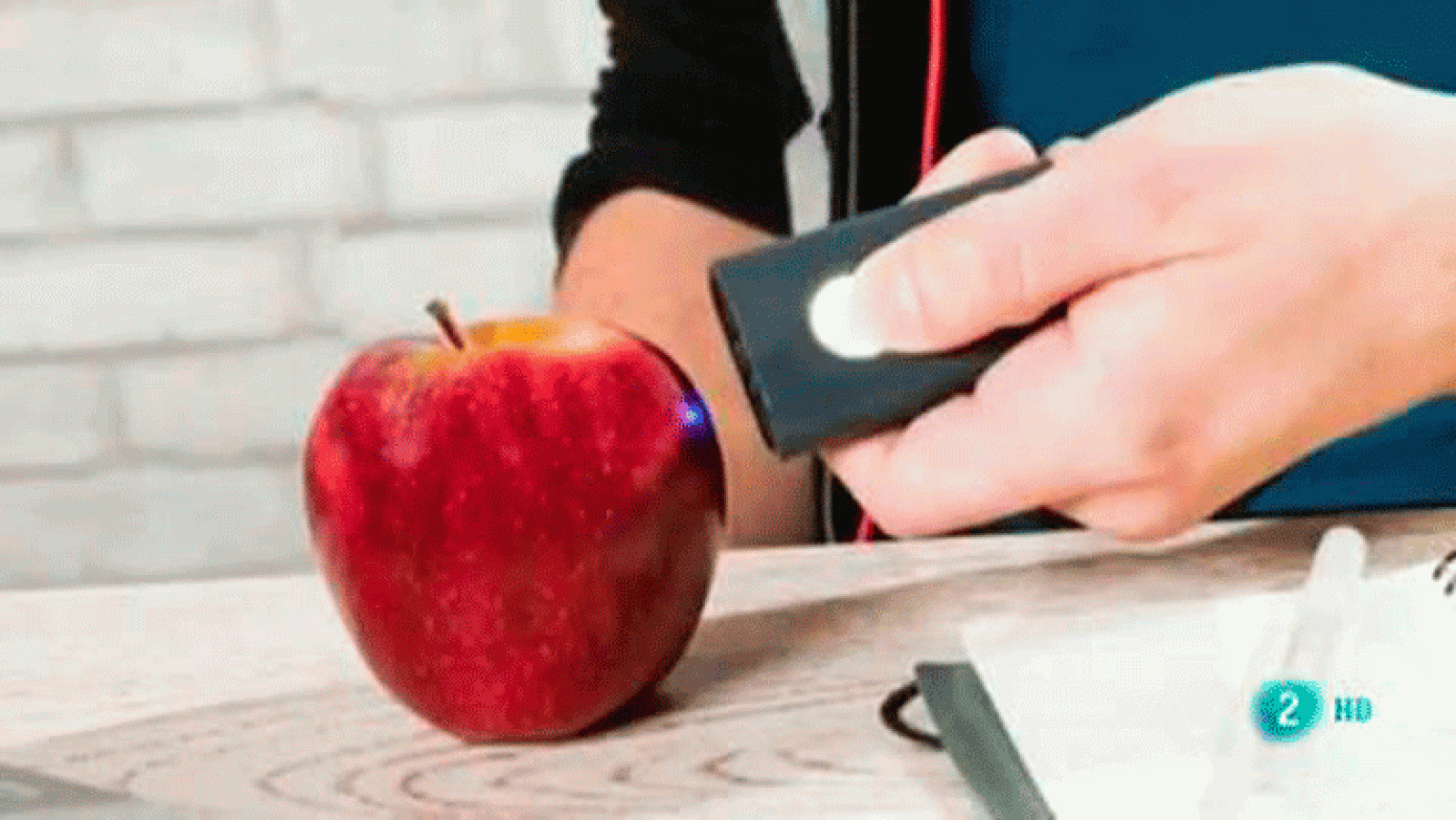 La aventura del saber. ¿Qué aplicación tiene el análisis de la apariencia y la composición química de los alimentos?