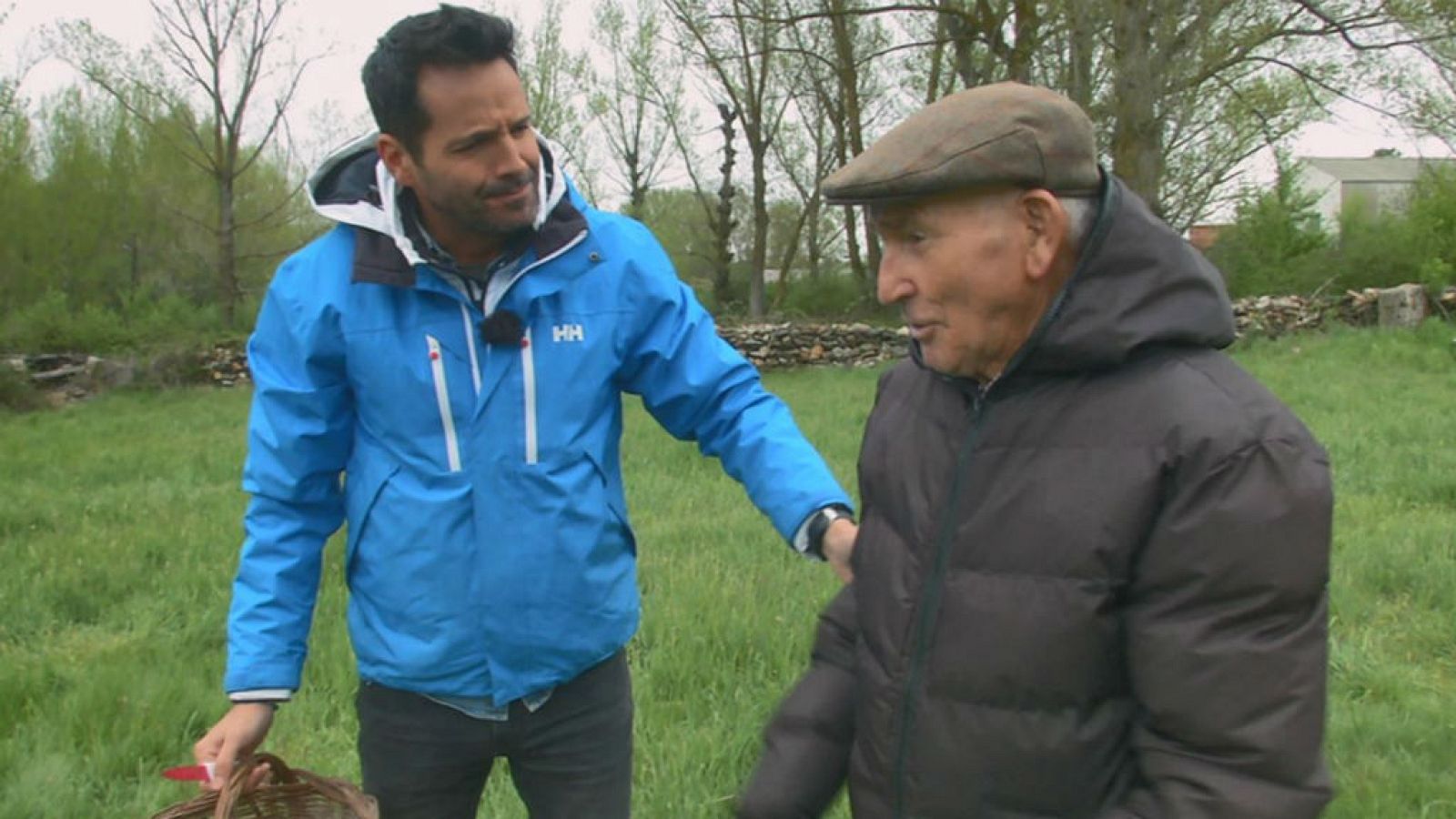 El ranking de la seta "que lo peta"