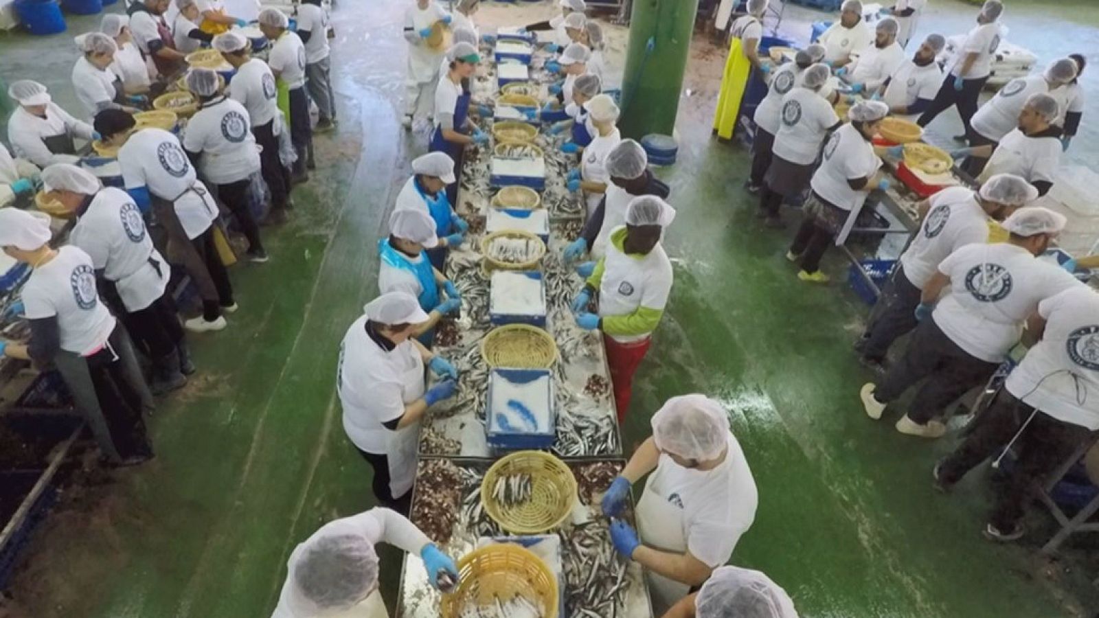 Aquí la Tierra - 27/05/19 - ver ahora