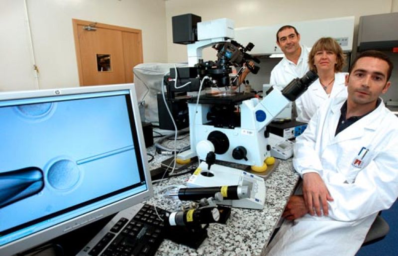 En la Universidad Autónoma de Barcelona consiguen clonar ratones por primera vez en España - Ciencia y tecnología en Rtve.es | Ver