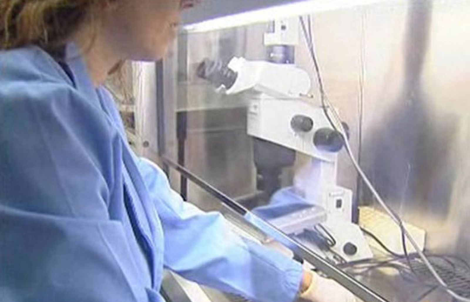 Medicina regenerativa, terapia a la carta