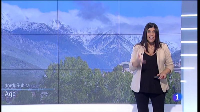 El Temps - 29/05/2019