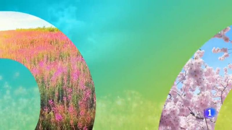 El tiempo Aragón - 29/05/2019 | Ver