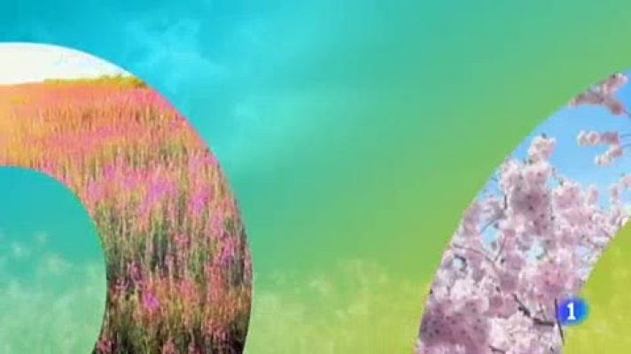 Telenorte - País Vasco - El tiempo en el País Vasco - 29/05/19