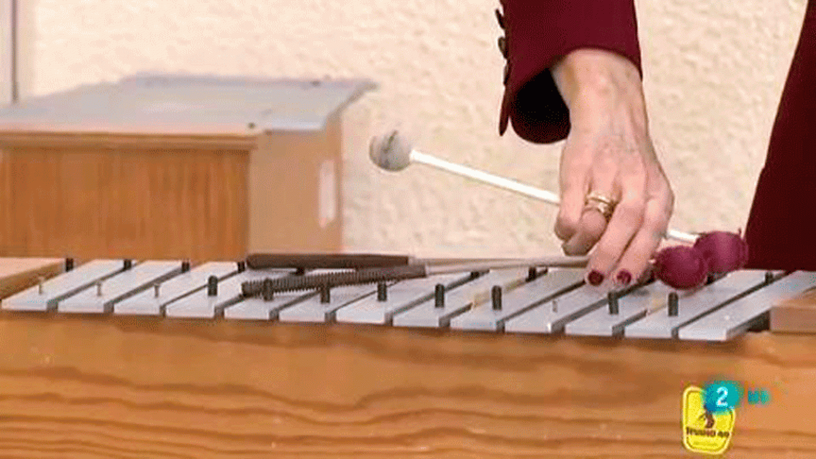 La aventura del saber. Música, maestros colegios e institutos