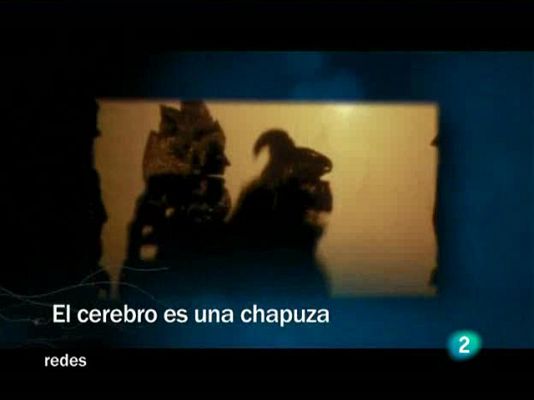 Redes - El cerebro es una chapuza