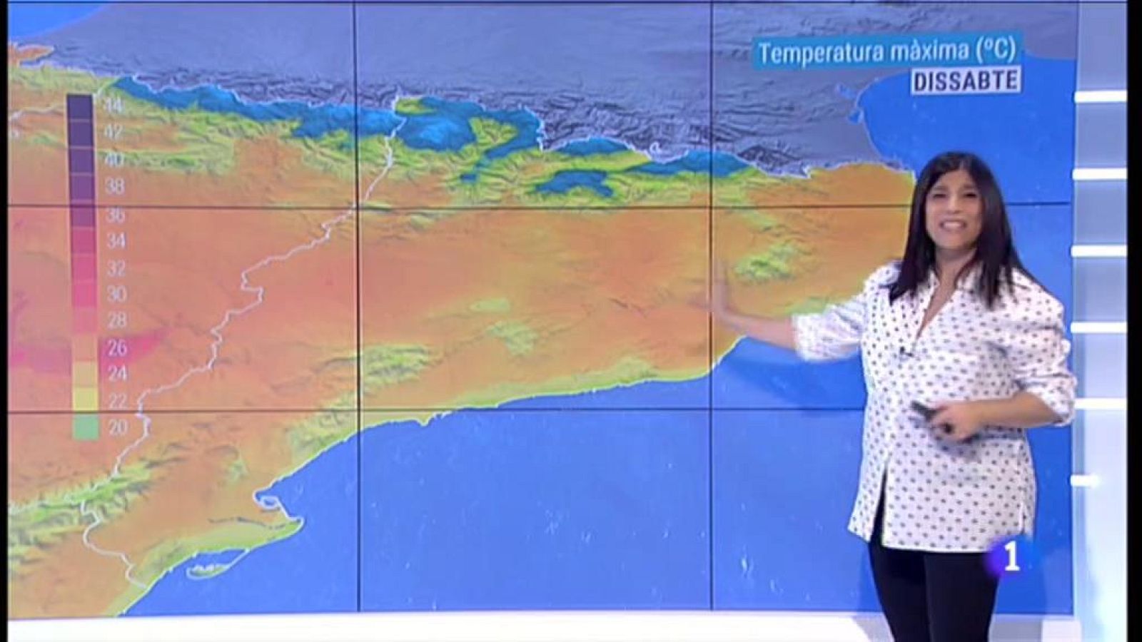 El Temps - 31/05/2019