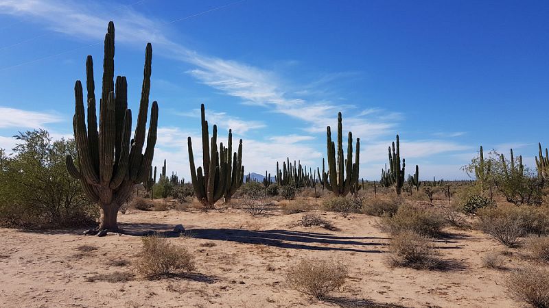 EE.UU. acusa a voluntarios por alimentar a inmigrantes en el desierto