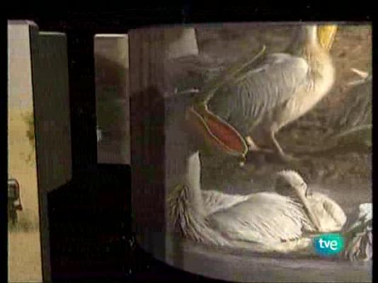 La ruta de los exploradores - Entre dioses y demonios