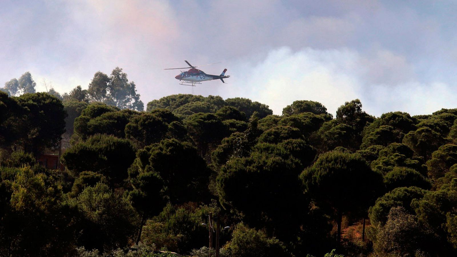 Telediario matinal en cuatro minutos - 02/06/2019- Ver ahora