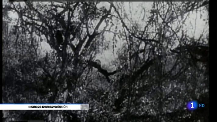 Telediario 1 - La presencia de animales en el circo está cada vez más restringida